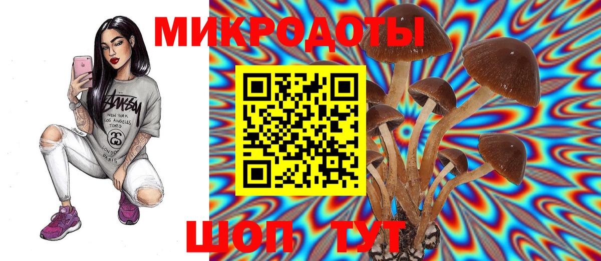 Псилоцибиновые грибы ЛСД Минусинск